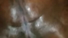 Seks di koleksi ceri ...