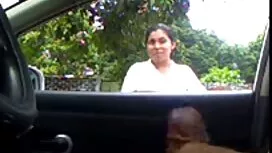Koleksi, di mana pri ...