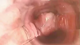 Jalur cerita lucah p ...
