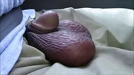 Seks yang hebat: lel ...